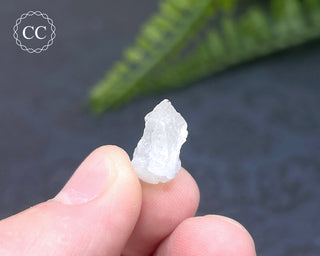 Dumortierite in Quartz Specimen #12