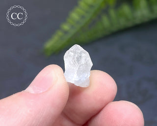 Dumortierite in Quartz Specimen #12
