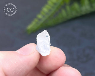Dumortierite in Quartz Specimen #12