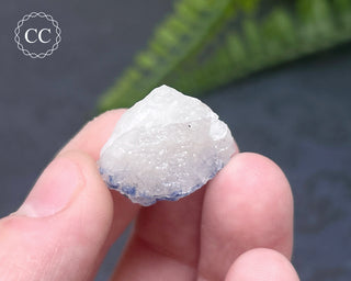 Dumortierite in Quartz Specimen #13