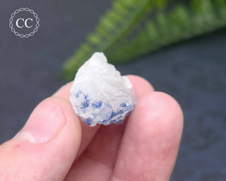Dumortierite in Quartz Specimen #13