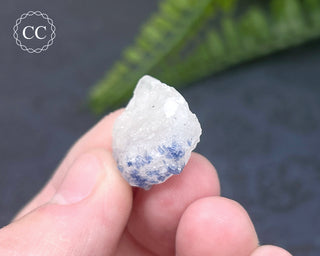 Dumortierite in Quartz Specimen #13
