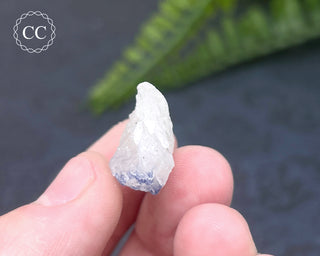 Dumortierite in Quartz Specimen #13