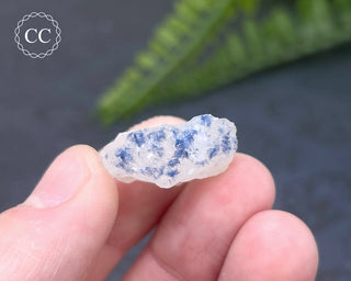 Dumortierite in Quartz Specimen #13