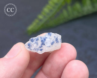 Dumortierite in Quartz Specimen #13