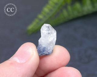 Dumortierite in Quartz Specimen #15