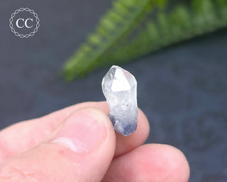 Dumortierite in Quartz Specimen #15