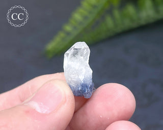 Dumortierite in Quartz Specimen #15