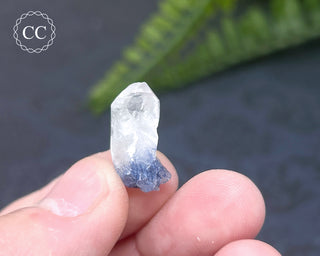 Dumortierite in Quartz Specimen #15