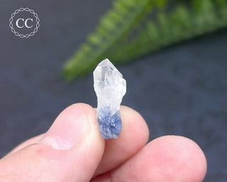 Dumortierite in Quartz Specimen #15
