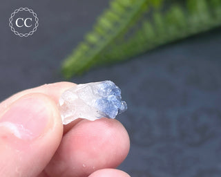 Dumortierite in Quartz Specimen #15
