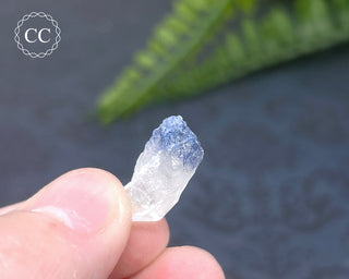 Dumortierite in Quartz Specimen #15