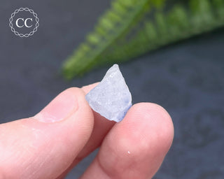 Dumortierite in Quartz Specimen #16