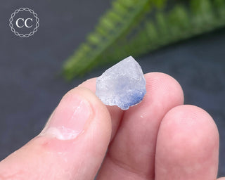 Dumortierite in Quartz Specimen #16