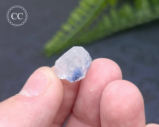 Dumortierite in Quartz Specimen #16