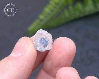Dumortierite in Quartz Specimen #16