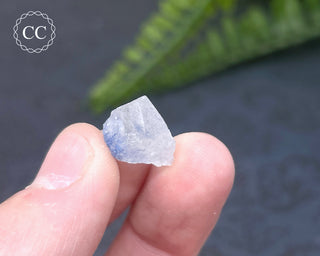 Dumortierite in Quartz Specimen #16