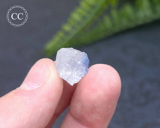 Dumortierite in Quartz Specimen #16