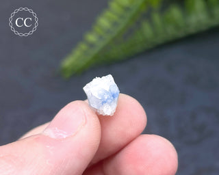 Dumortierite in Quartz Specimen #17