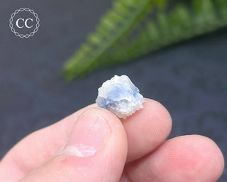 Dumortierite in Quartz Specimen #17