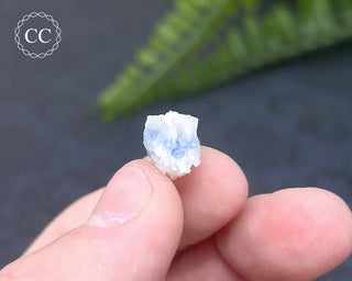 Dumortierite in Quartz Specimen #17