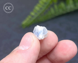 Dumortierite in Quartz Specimen #17