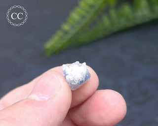 Dumortierite in Quartz Specimen #17