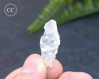 Dumortierite in Quartz Specimen #18