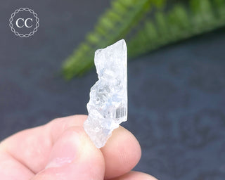 Dumortierite in Quartz Specimen #18