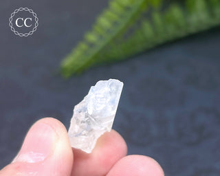Dumortierite in Quartz Specimen #18