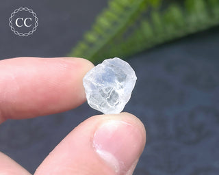 Dumortierite in Quartz Specimen #19