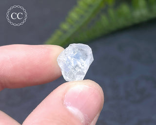 Dumortierite in Quartz Specimen #19