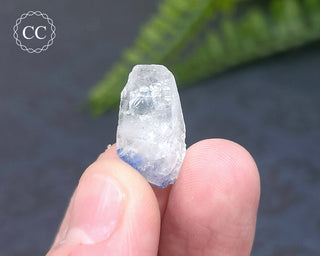 Dumortierite in Quartz Specimen #3