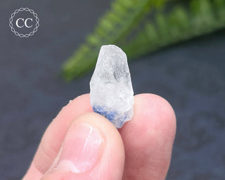 Dumortierite in Quartz Specimen #3