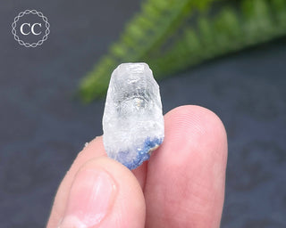 Dumortierite in Quartz Specimen #3
