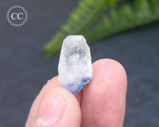 Dumortierite in Quartz Specimen #3