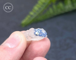 Dumortierite in Quartz Specimen #3