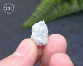 Dumortierite in Quartz Specimen #5