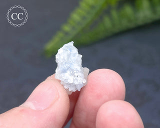 Dumortierite in Quartz Specimen #5