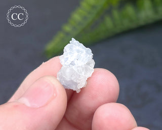 Dumortierite in Quartz Specimen #5