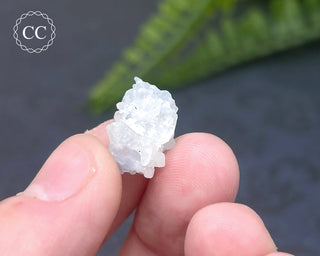 Dumortierite in Quartz Specimen #5
