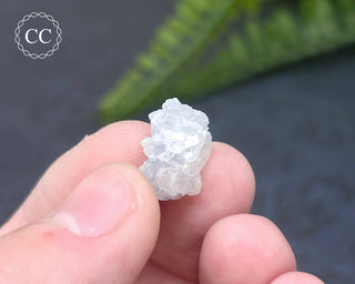 Dumortierite in Quartz Specimen #5