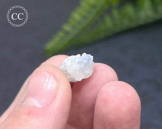 Dumortierite in Quartz Specimen #5