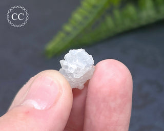 Dumortierite in Quartz Specimen #5