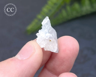 Dumortierite in Quartz Specimen #7