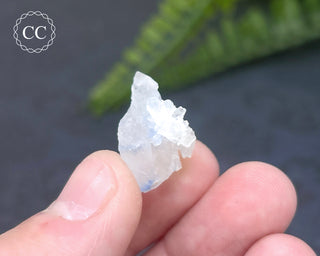 Dumortierite in Quartz Specimen #7