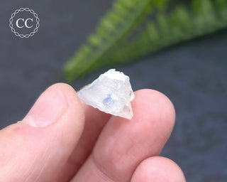 Dumortierite in Quartz Specimen #7