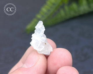 Dumortierite in Quartz Specimen #7