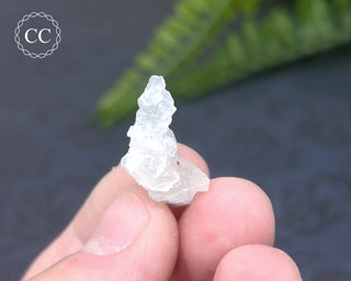 Dumortierite in Quartz Specimen #7