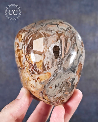 A hand holding an Eggshell / Ibis Jasper Freeform from Madgascar 